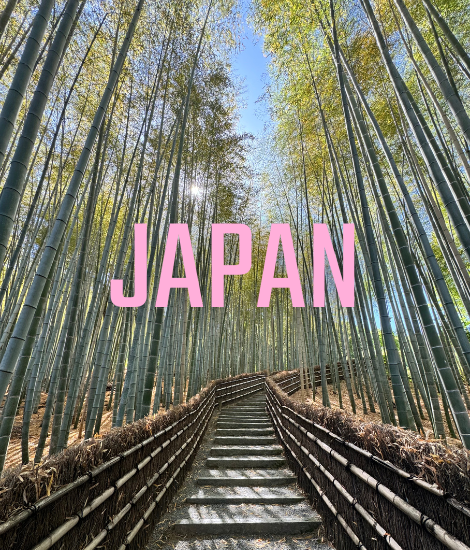 Japan bamboo forest, path surrounded by bamboo plants