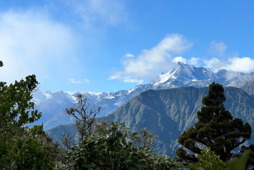 Best walks in New Zealand - Alex knob hike - views of snowy mountains and trees