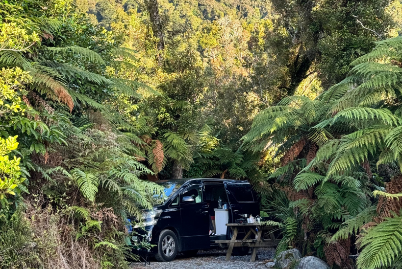 Orange sheep campsite with campervan in middle of a trees