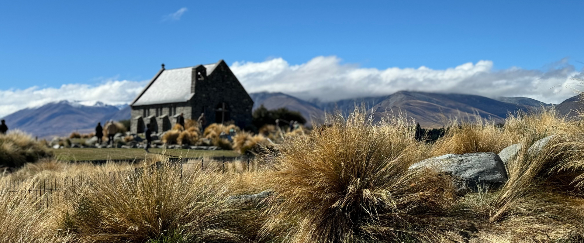 Lake Tekapo view of church and plants