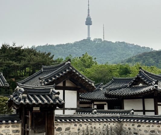 Seoul trip itinerary, Village with tall tower and hills